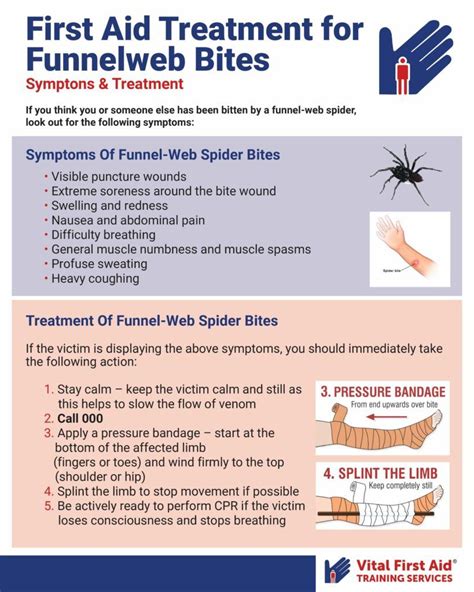 massage bites|6 Signs a Spider Bite Needs Treatment (With Images) .